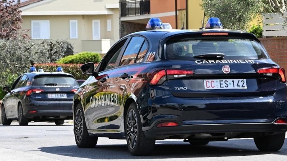 Cane da pastore azzanna un 50enne a Concordia. “Scherzo” da 10 giorni di prognosi