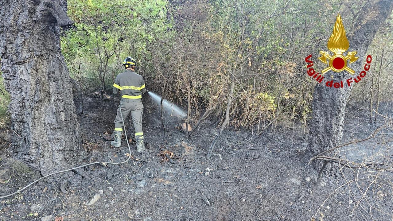 Nuovo incendio nelle campagne di Arzana, fiamme ai margini dell’area devastata nei giorni scorsi