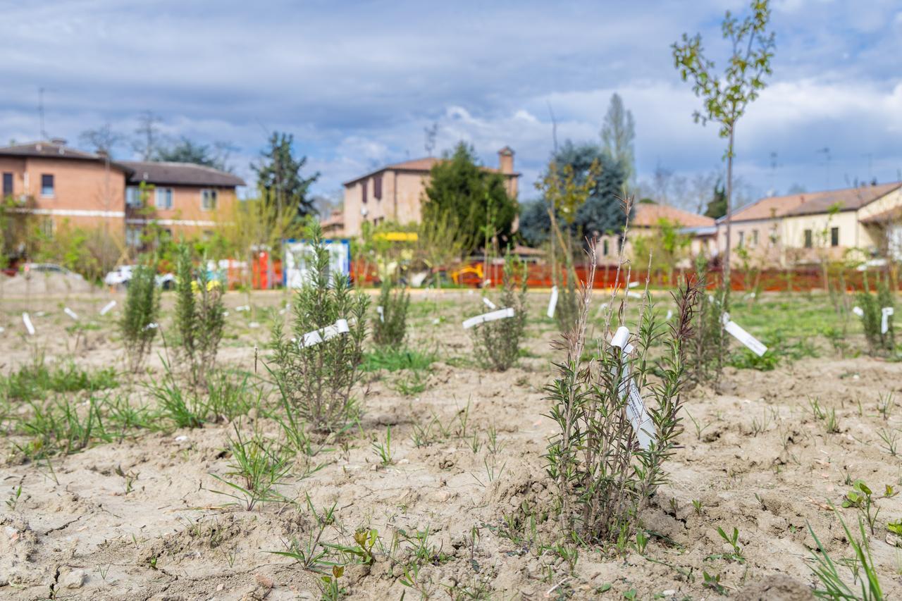 Il Central Bosc di Ferrara diventa il Parco Folco Quilici