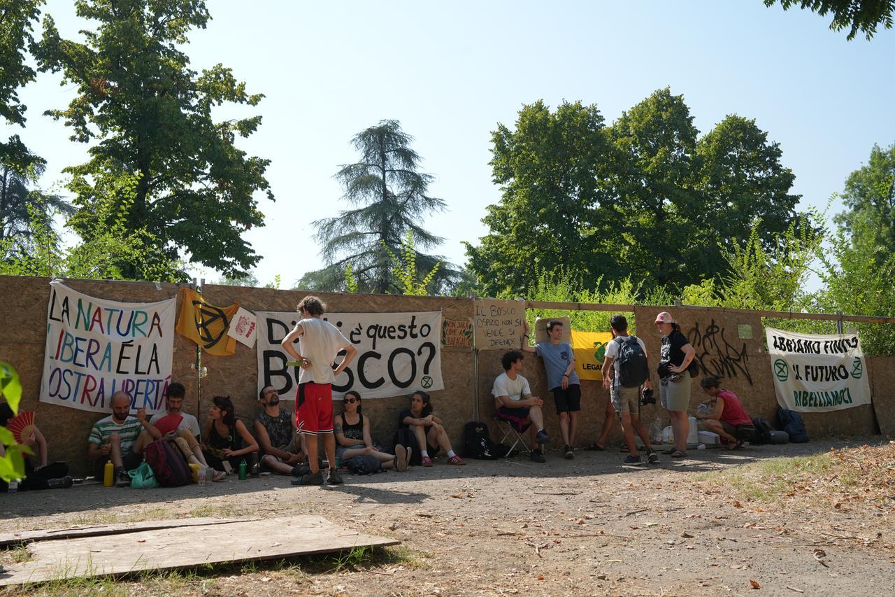 Bosco di Ospizio, Conad conferma il progetto: «Disponibili a valutare miglioramenti»