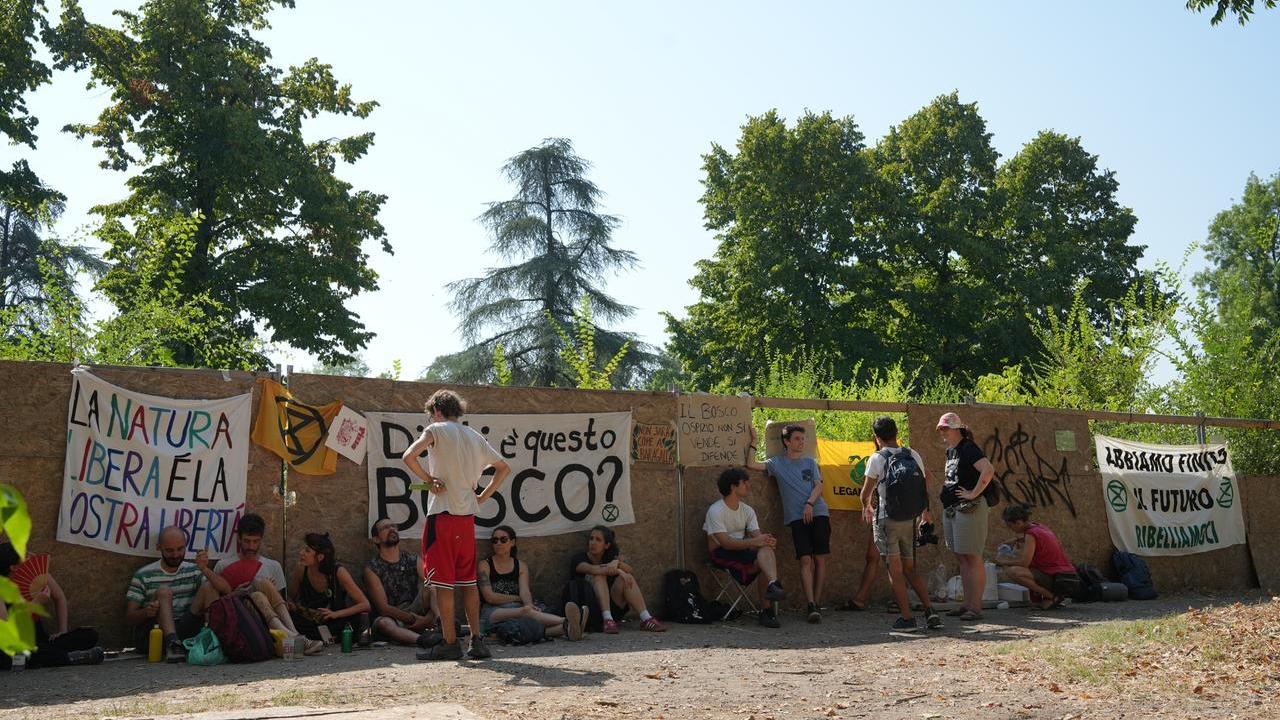 Bosco di Ospizio, Conad conferma il progetto: «Ma disponibili a valutare miglioramenti»