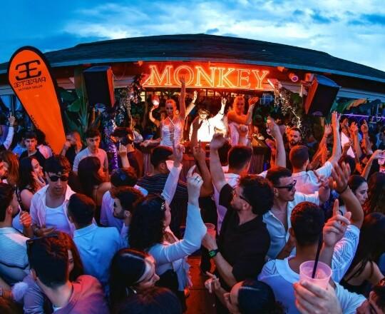 
	Il Monkey di Tirrenia

