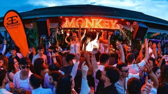 Il Monkey di Tirrenia