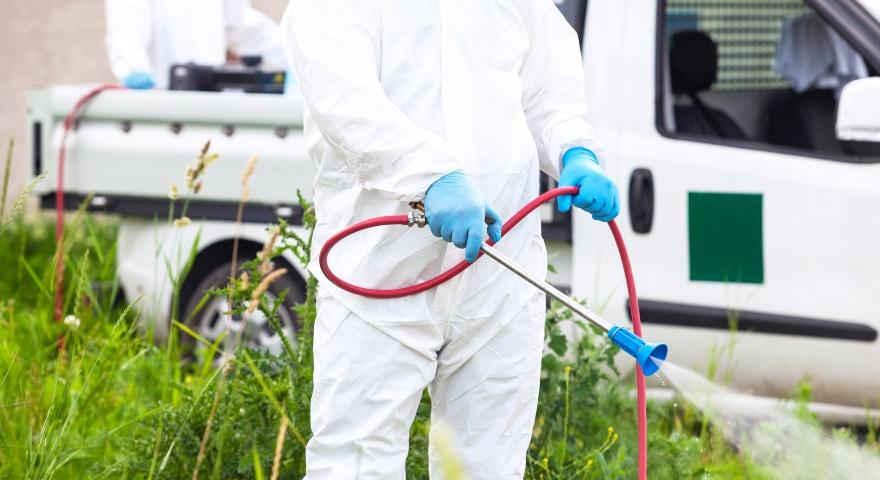 Prevenzione West Nile, intervento massivo prima della festa: i dettagli