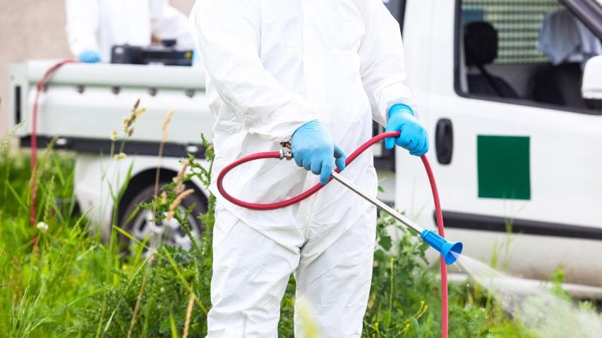 West Nile, prevenzione e lotta alle zanzare: al via la maxi disinfestazione prima della festa – Ecco dove
