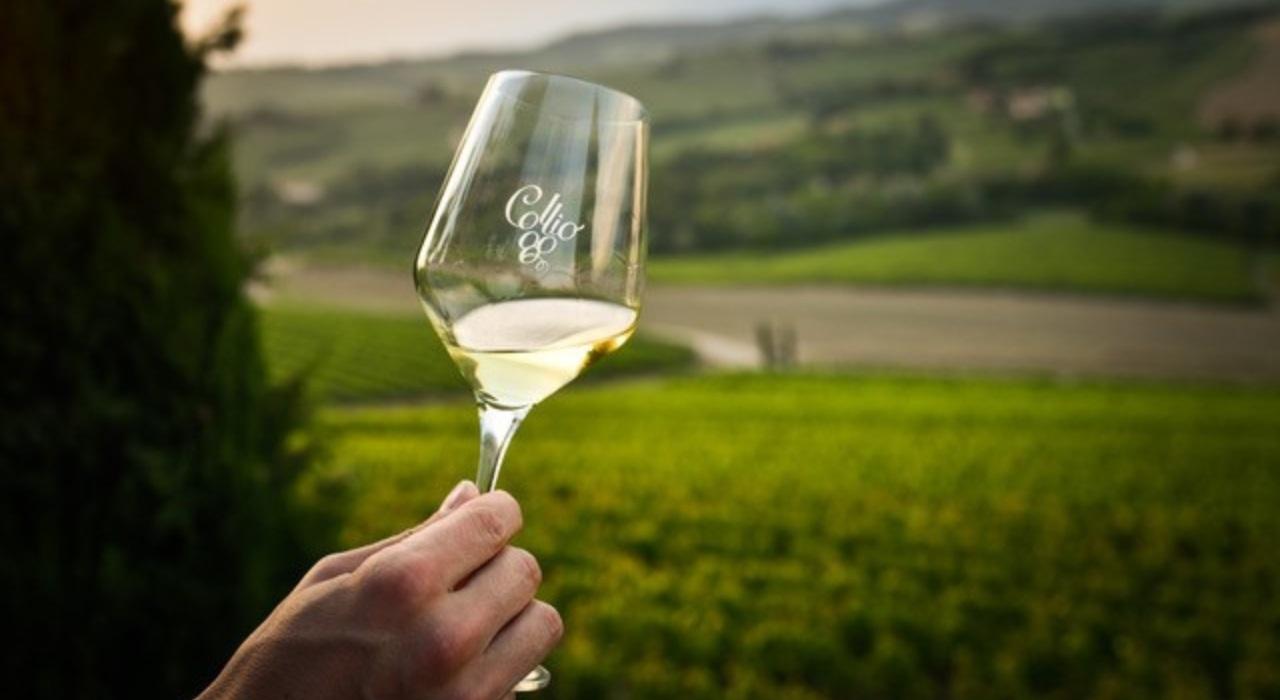 Sassari, l’Ais presenta il corso per sommelier