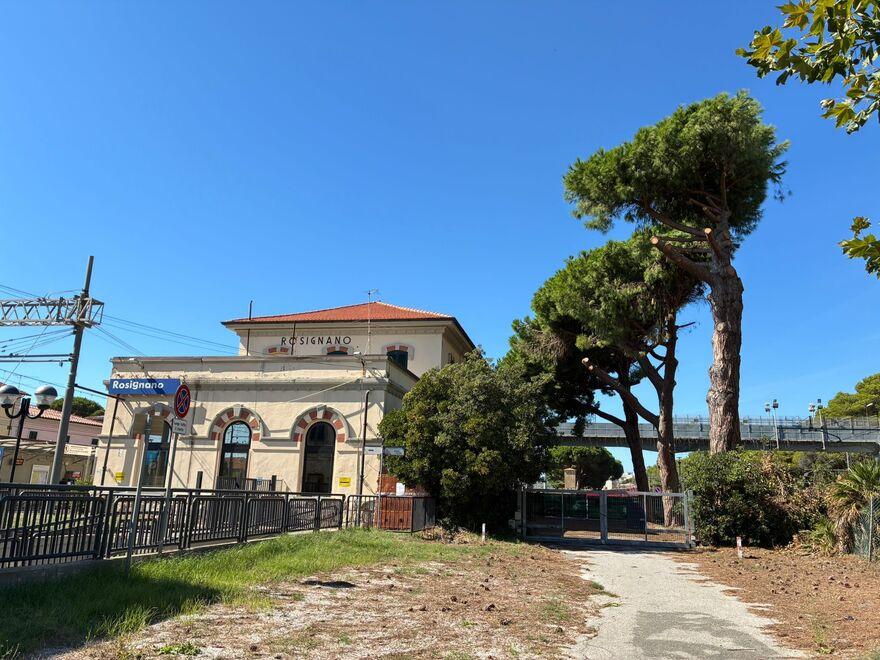 Rosignano, la sospensione è finita: Ferrovie taglierà i tre pini