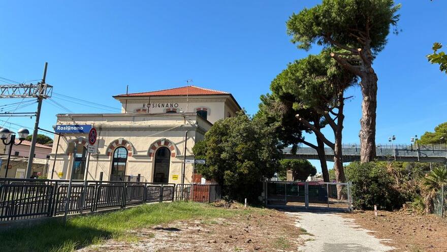 Rosignano, la sospensione è finita: Ferrovie taglierà i tre pini