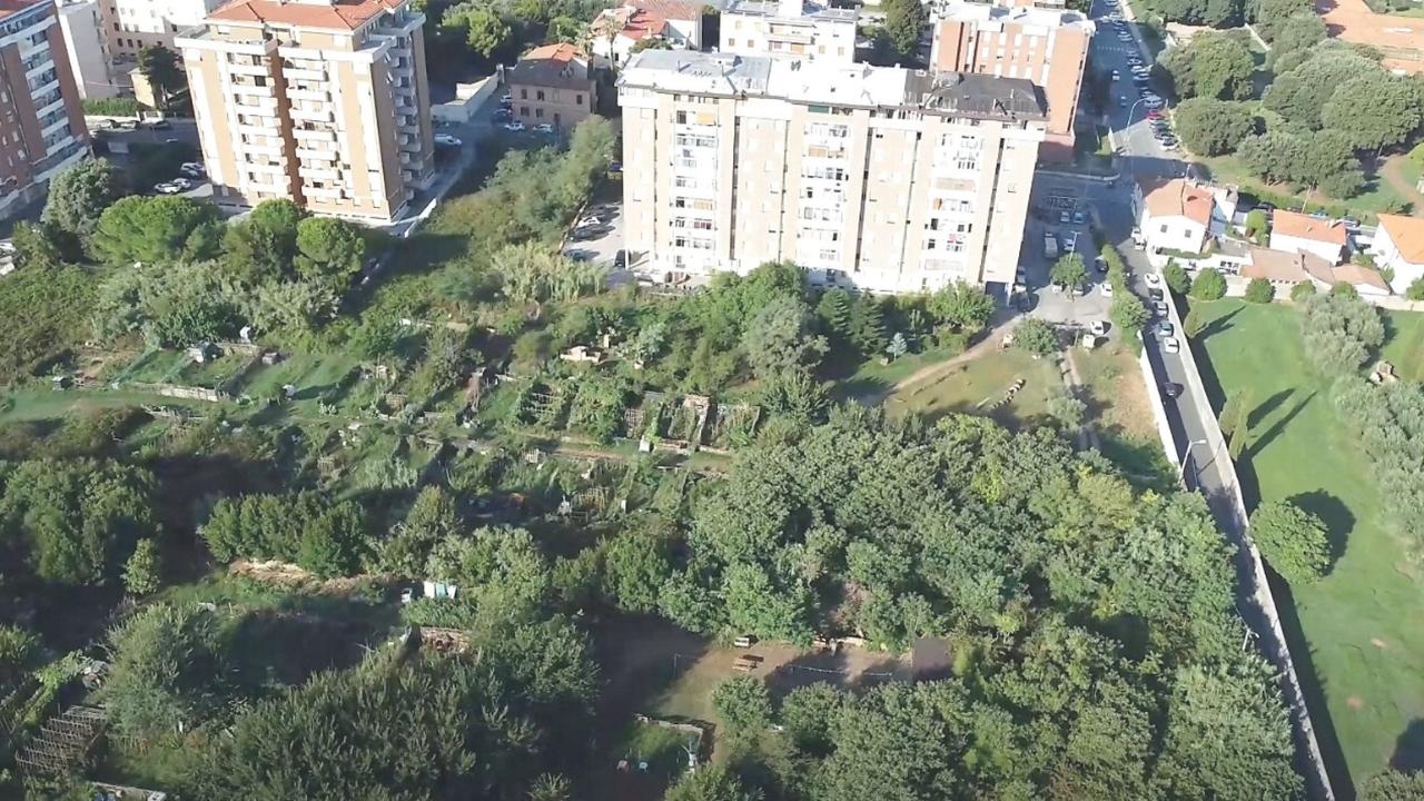 Gli orti urbani dall'alto