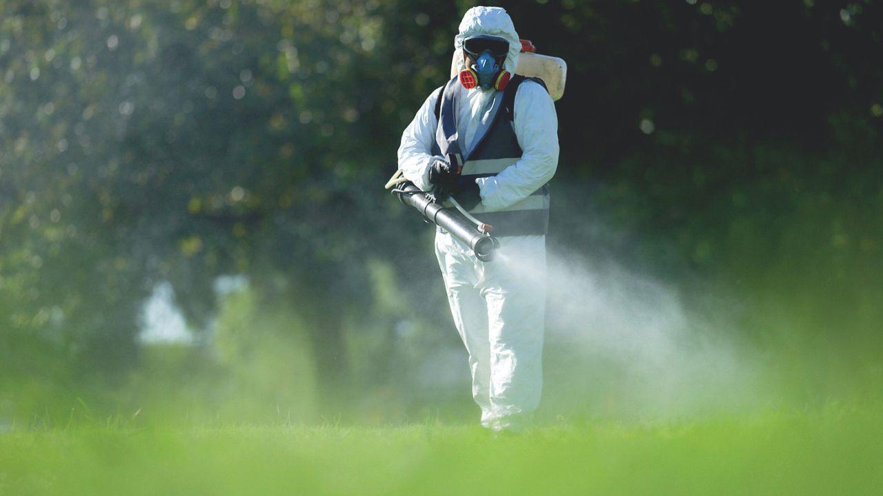 Dengue in Toscana, 10 casi confermati: rafforzata la sorveglianza. L’esperto: «Fondamentale la prevenzione, ma no allarmismi» – Cosa sapere