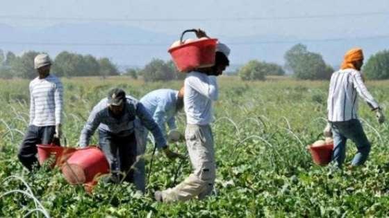 Ferrara, dodici lavoratori in nero su 17: maxi sanzioni e attività sospesa