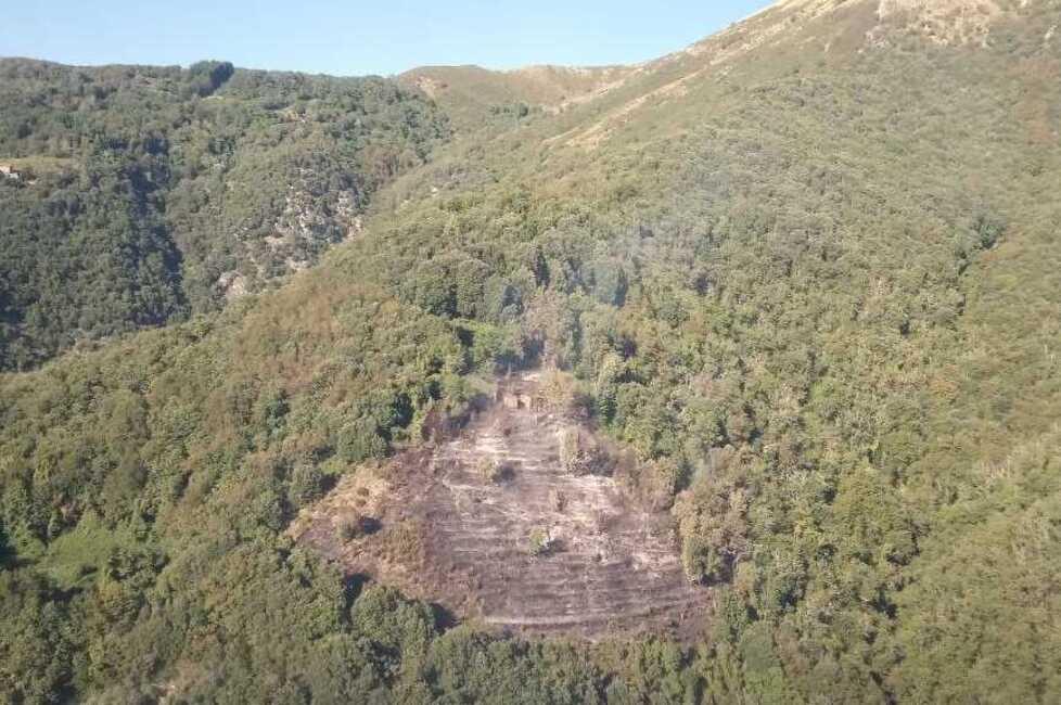 
	L'area dell'incendio


