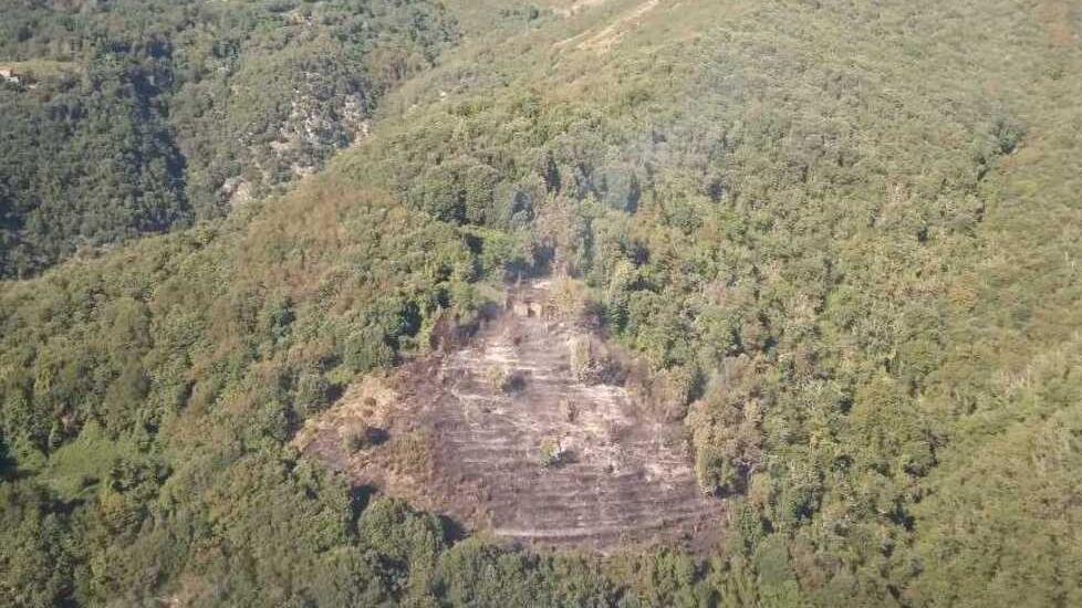 L'area dell'incendio