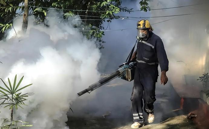 Dengue in Toscana, c’è un caso a Pisa. Disinfestazione: dove saranno effettuati gli interventi