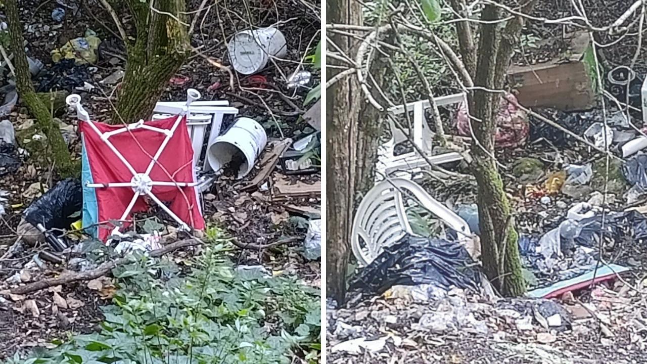 
	I rifiuti nascosti nel bosco di Vellano

