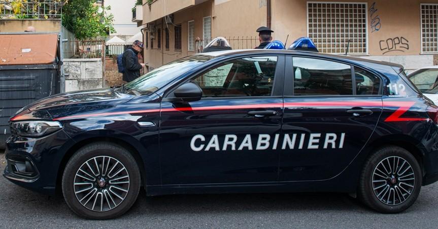 Olbia, quattro chili di droga nascosti nell’azienda agricola: arrestato 28enne