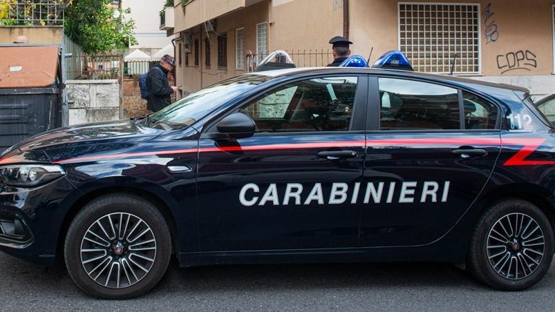 Olbia, quattro chili di droga nascosti nell’azienda agricola: arrestato 28enne