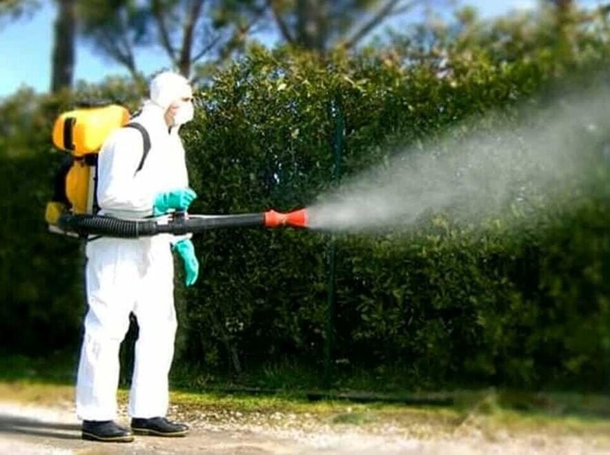Pisa, ancora un contagio da Dengue: «Non ha effettuato viaggi»