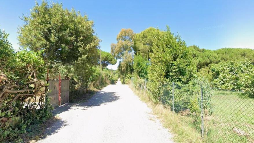 Una veduta di Fabbricciane