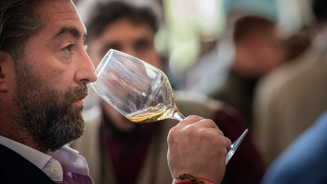 Guida ai vini della Sardegna, sette etichette hanno preso 100/100: ecco quali sono, c’è anche una sorpresa