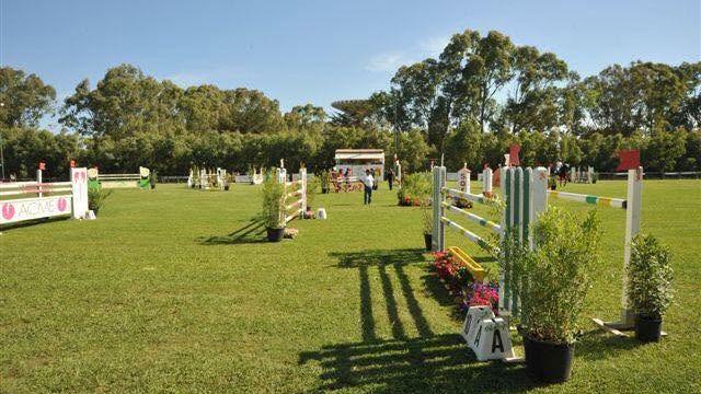 Mondo equestre sotto i riflettori: torna Sardegna Cavalli