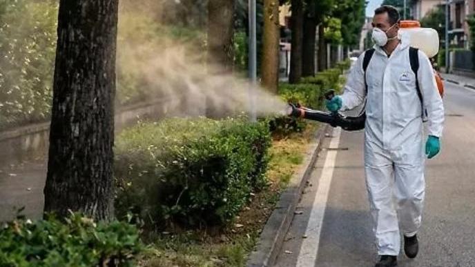 Prato, altri due casi di Dengue: disinfestazione in via del Purgatorio e in via Galcianese