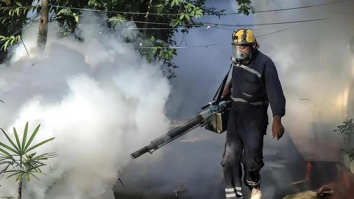 Dengue, nuovo caso a Pisa: il sindaco dispone la disinfestazione