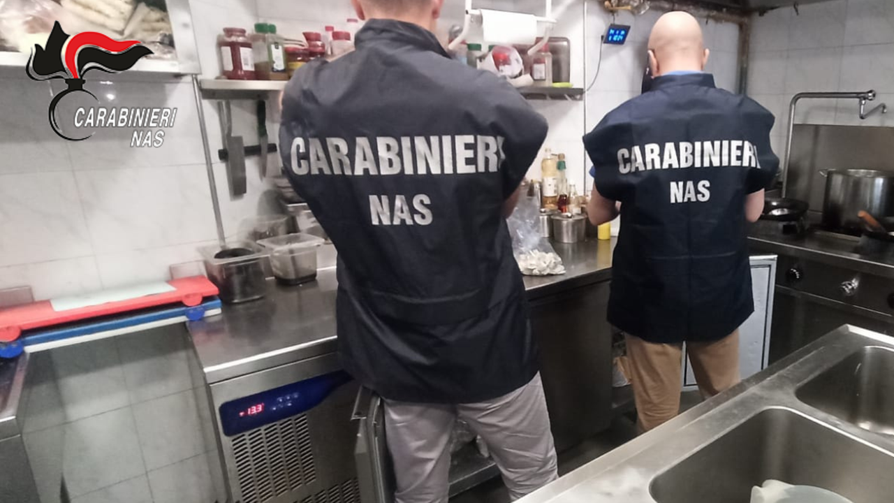Un'ispezione dei carabinieri del Nas di Parma