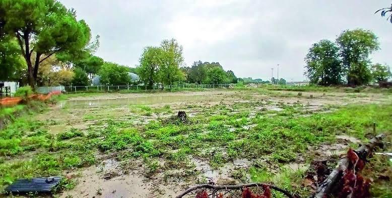 
	Il terreno sul quale doveva sorgere la piscina di Iolo

