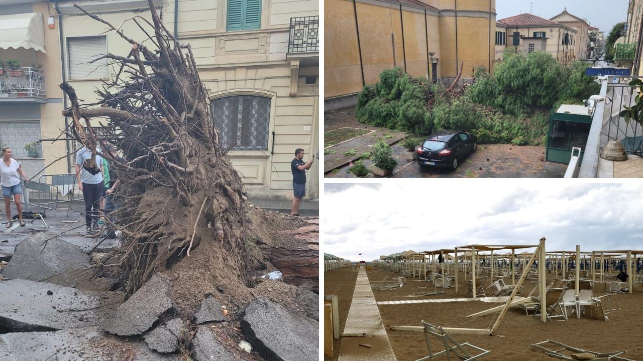 
	Il crollo del pino in via Sant'Andrea e i danni agli stabilimenti balneari (foto Iacopo Giannini)&nbsp;

