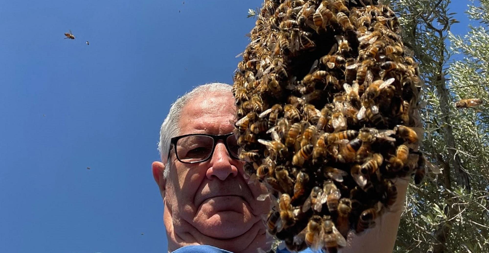 Vero Tampucci, presidente degli apicoltori livornesi