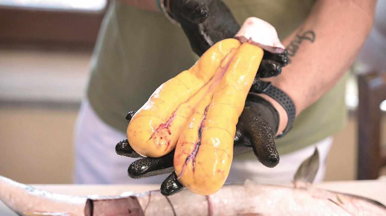 Festival della bottarga, l’oro del Sinis in mostra tra gastronomia, ambiente e scienza – Il programma