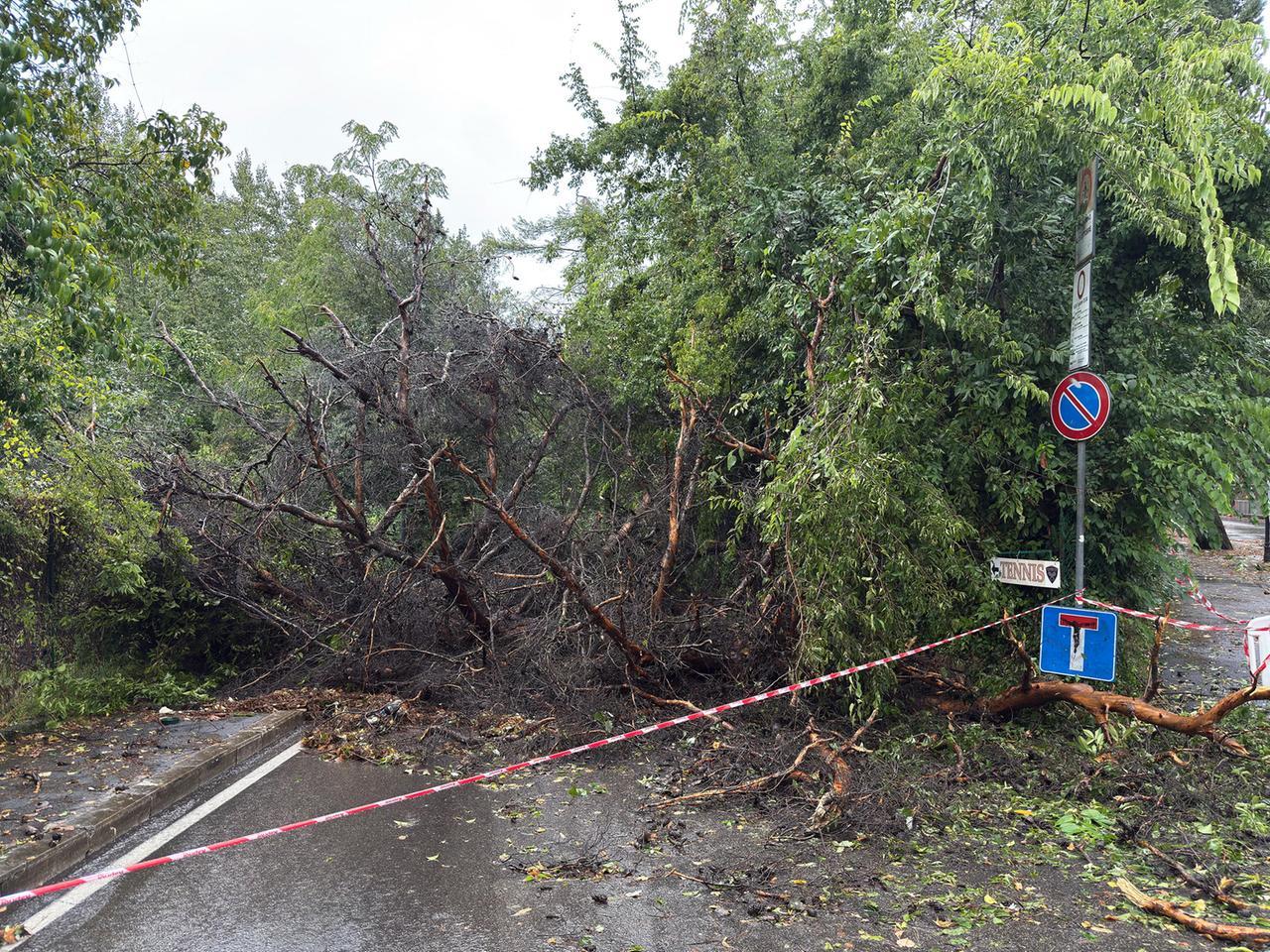 Maltempo in Toscana, caos in Maremma e danni a Cecina. In arrivo nuovi temporali – Diretta
