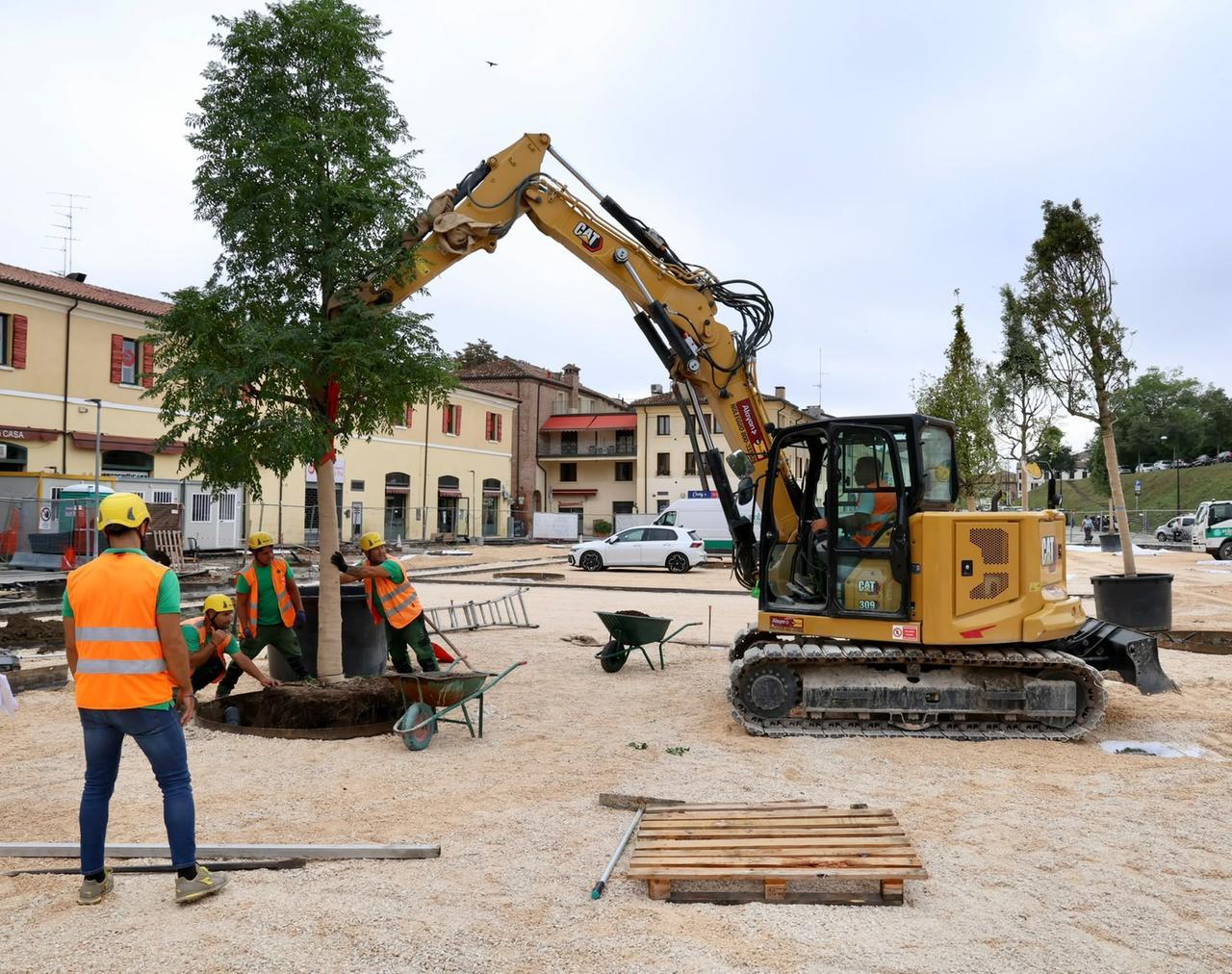 Ferrara, piazza Travaglio si colora di verde: messi a dimora i primi alberi