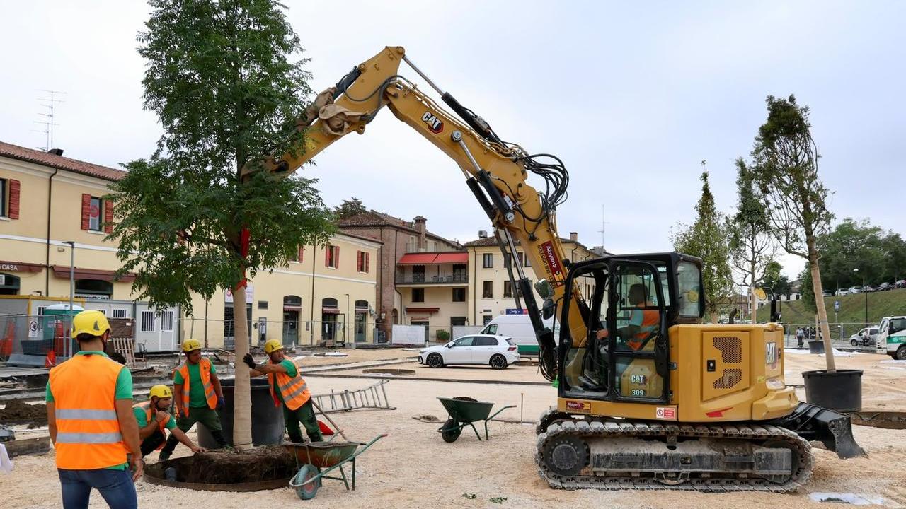 Ferrara, piazza Travaglio si colora di verde: messi a dimora i primi alberi