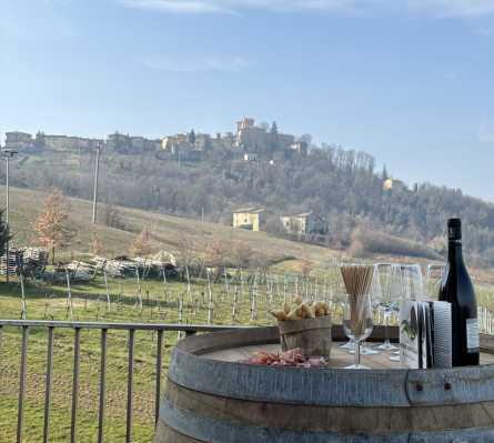 
	Cimone Slow

