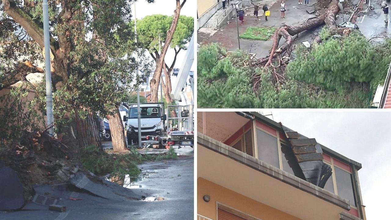 Tromba d’aria a Viareggio, chiesto lo stato di emergenza: «Danni in diverse zone della città» – Tetti danneggiati, pini da tagliare e attenzione nelle scuole