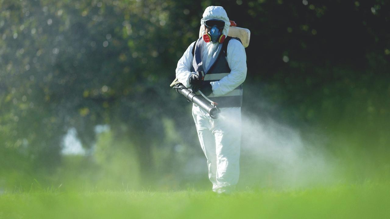 Il focolaio di Dengue in Toscana si allarga, da Piombino alla piana fiorentina: un caso sospetto a Sesto – La disinfestazione