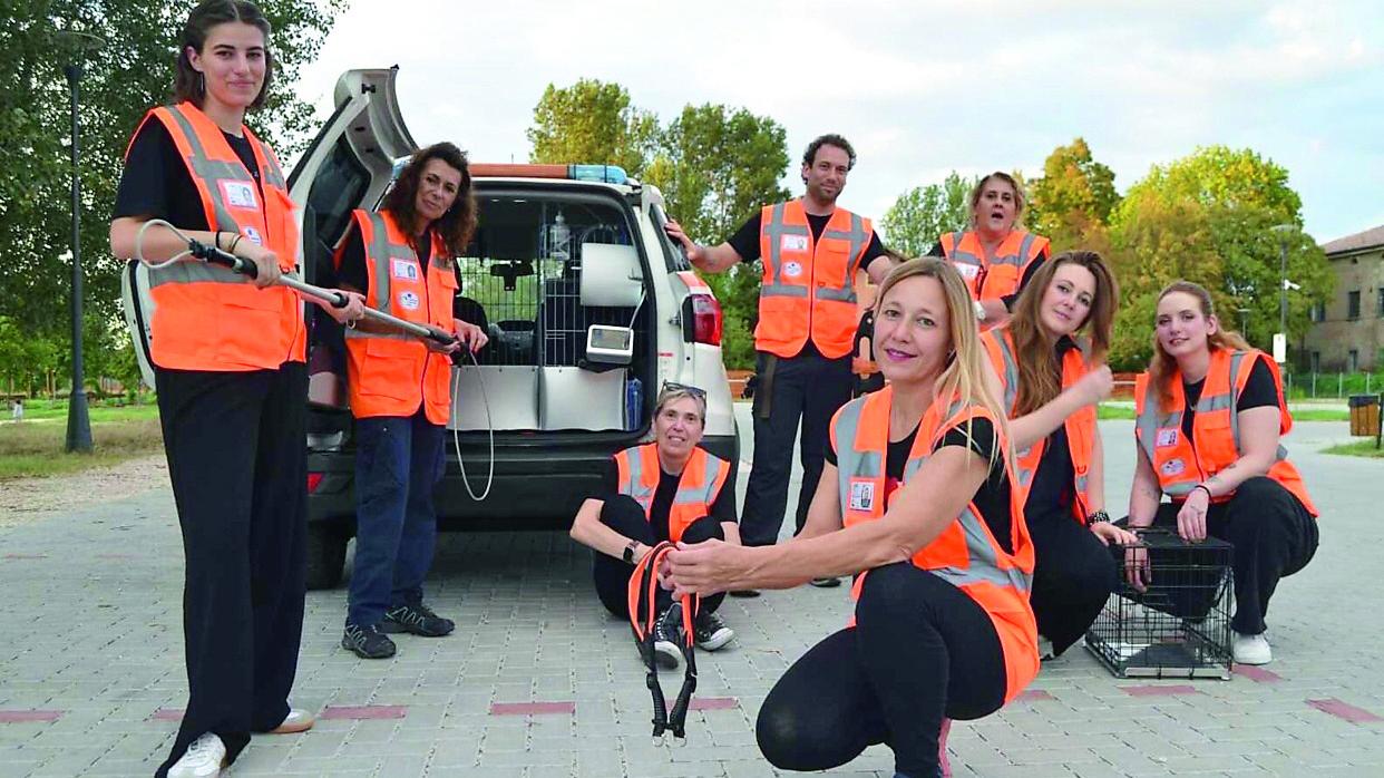 Un’ambulanza per gli animali: da mercoledì sarà operativa a Carpi