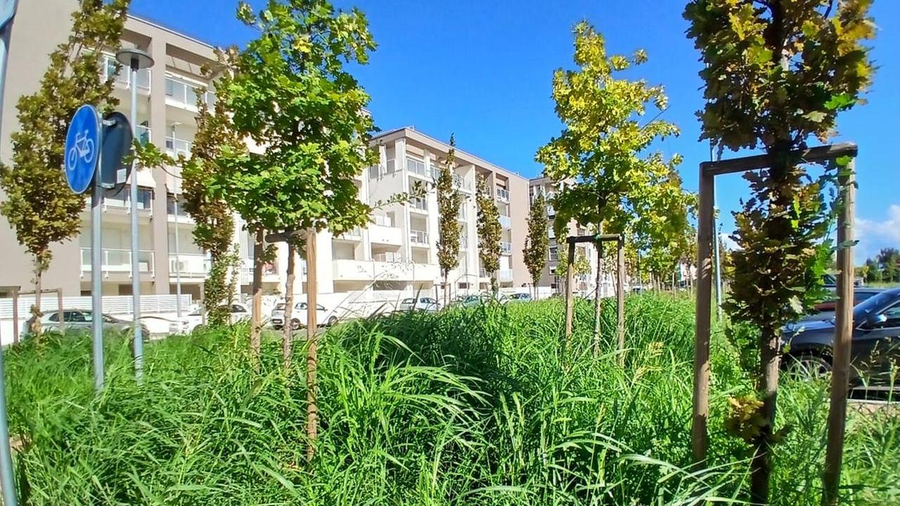 L'erba non tagliata davanti ai condomini realizzati in via Ilaria Alpi