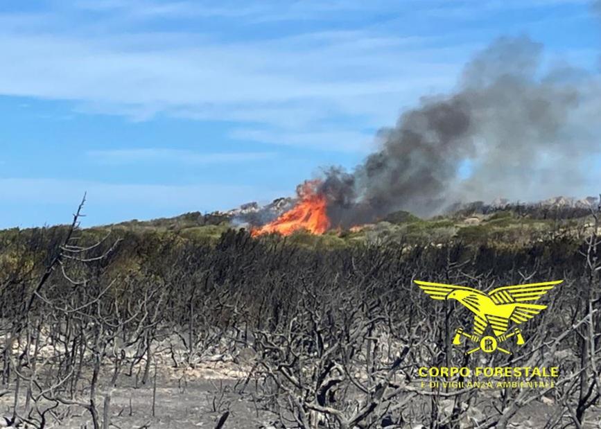 L’inferno di fuoco devasta l’isola Santa Maria: in cenere una delle perle dell’arcipelago di La Maddalena – IL VIDEO