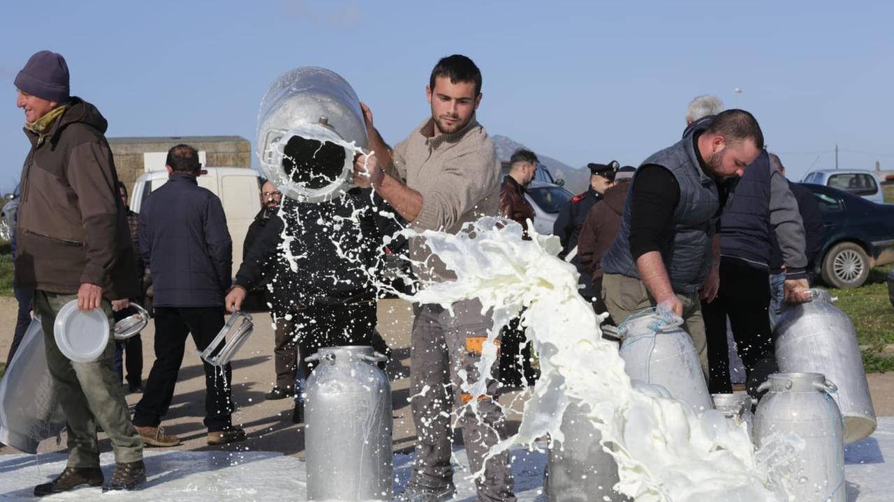 Un'immagine delle proteste dei pastori nel 2019 per il prezzo del latte (foto mauro chessa)