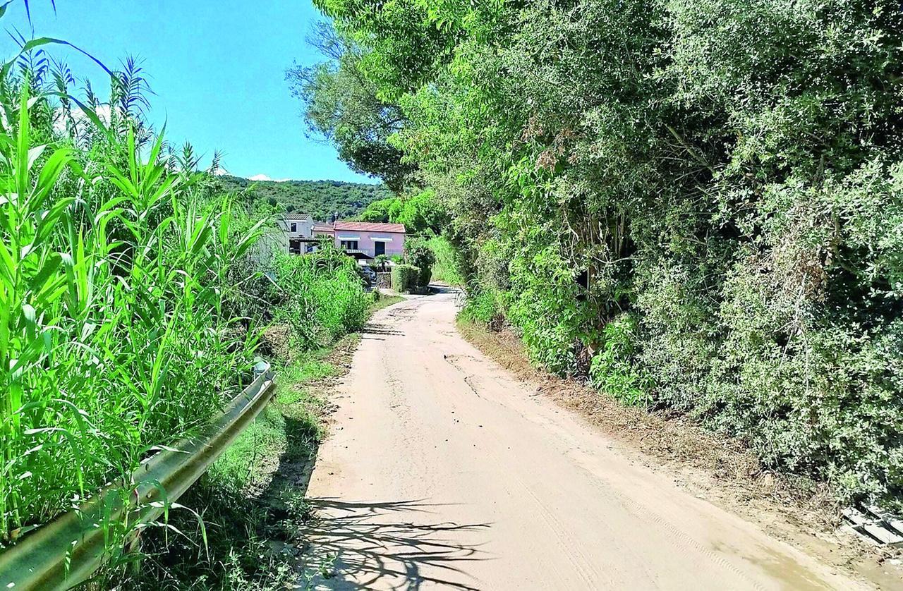 
	Un tratto della strada consortile oggetto dell&rsquo;appello del Consorzio Val di Denari

