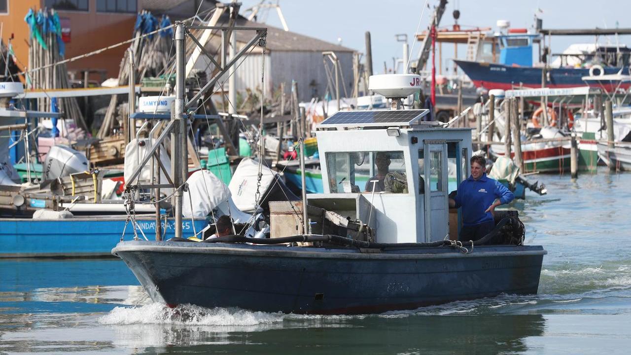 Porto Garibaldi, pescatori di nuovo in mare: «Acque calde come quelle termali»
