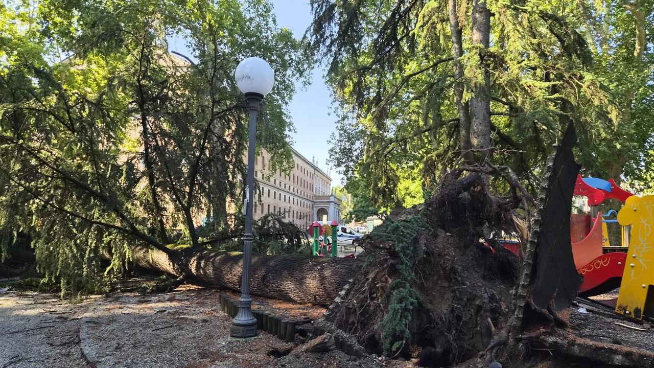 Reggio Emilia, il nubifragio di luglio presenta il conto: oltre 674mila euro per gli interventi d’urgenza