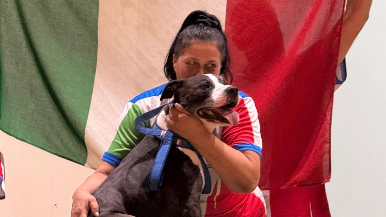 Sassari, Pablo il cane campione va in pensione con un messaggio positivo: «La razza non fa un animale aggressivo»