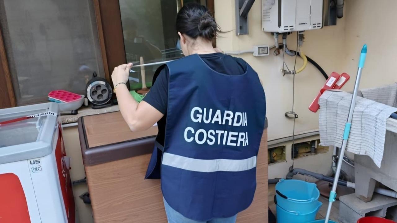 Pesce non tracciato nei ristoranti, sequestrati due quintali
