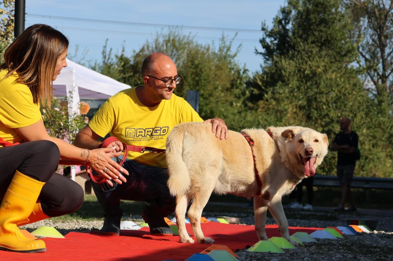 Al canile di Modena una “sfilata” per promuovere le adozioni