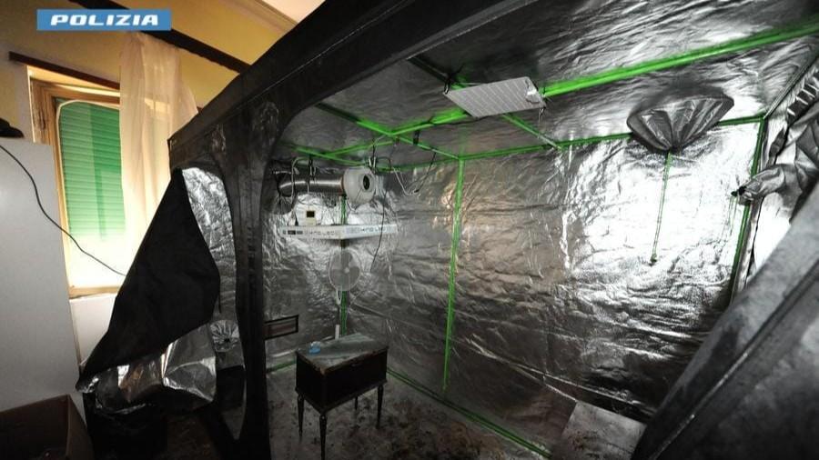 La serra di marijuana e il laboratorio per l’hashish: l’appartamento era una centrale di produzione della droga- Che cosa sappiamo