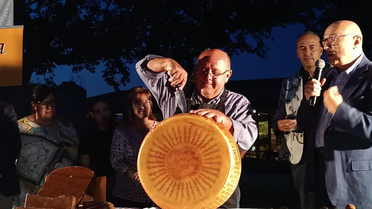 Parmigiano Reggiano da primato: a Cavriago il taglio della forma stagionata 14 anni